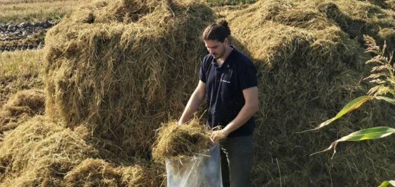 aimplas-dara-una-segunda-vida-a-residuos-vegetales-en-forma-de-adhesivos-y-envases-a-traves-de-tecnicas-mecanoquimicas-limpias-sin-disolventes