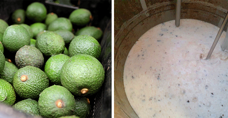 Westfalia Fruit
